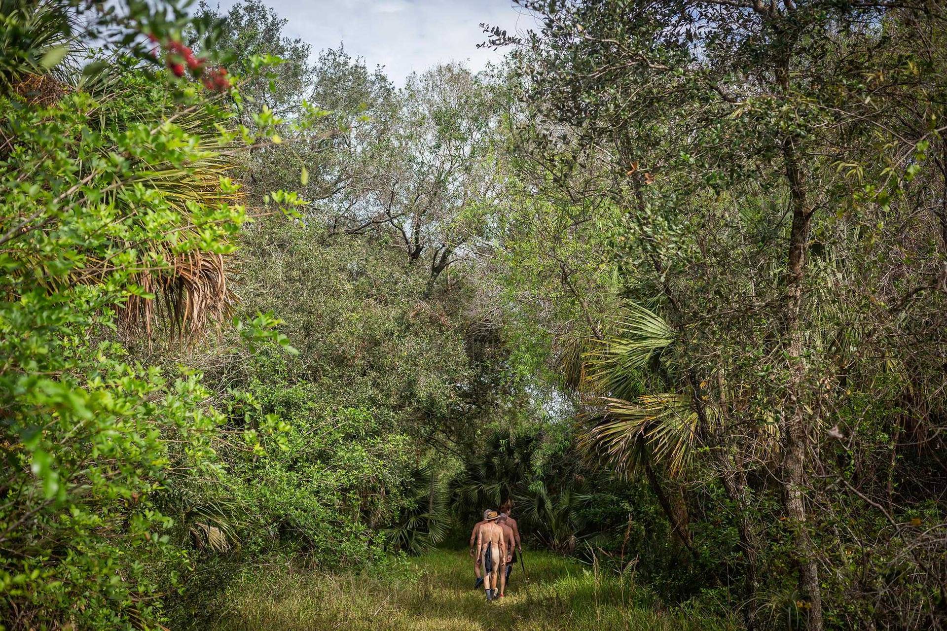 Nature Trails