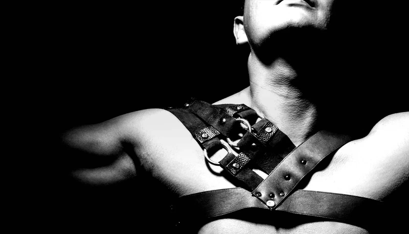 Harness