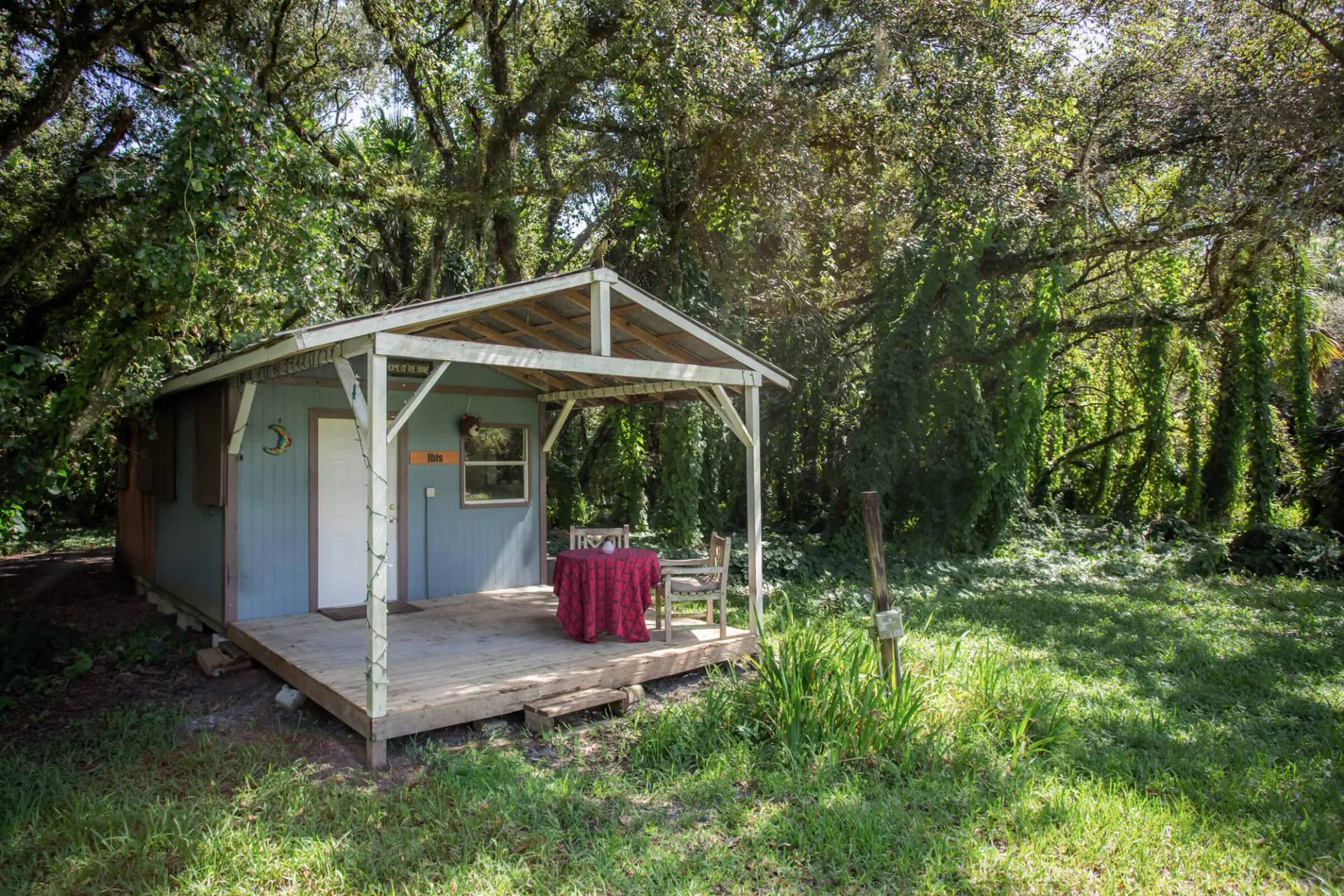 Ibis Cabin